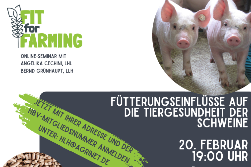 Fit for Farming - Fütterungseinflüsse auf die Tiergesundheit der Schweine