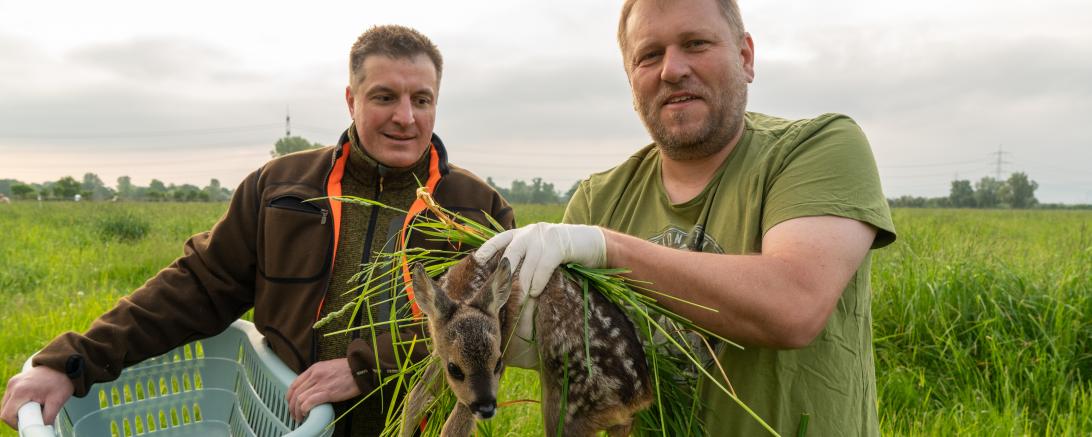 Landkreis Diepholz: Gerät soll Rehkitze, junge Hasen und andere Wildtiere  warnen