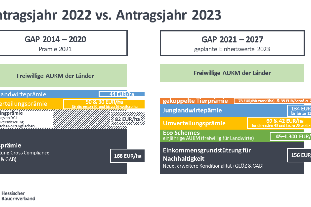 Vergleich Prämien 2022 und 2023