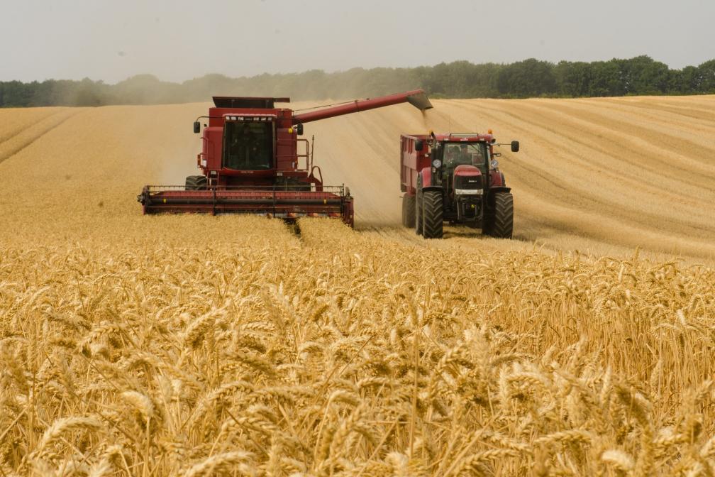 Mähdrescher bei der Ernte