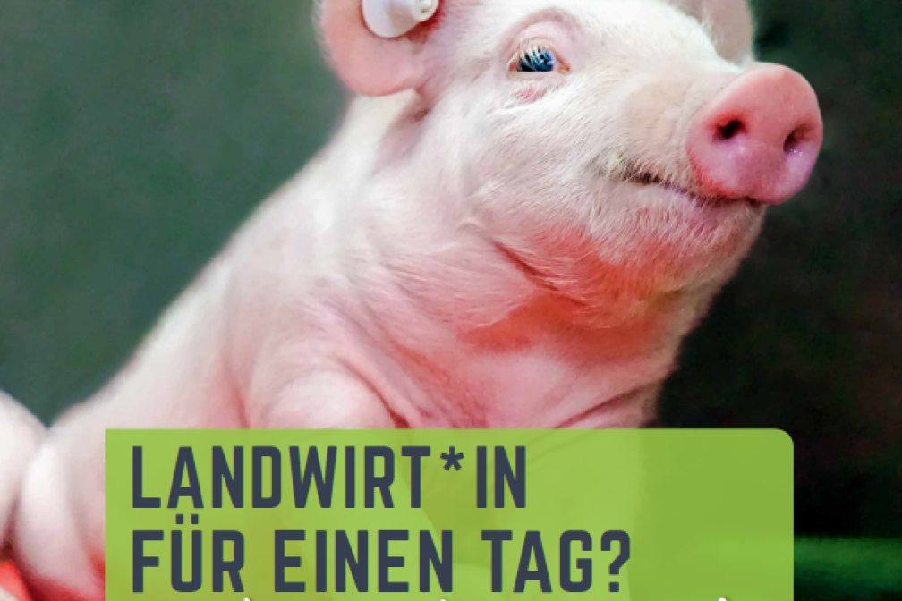 Du und ich bei Hessens Bauern