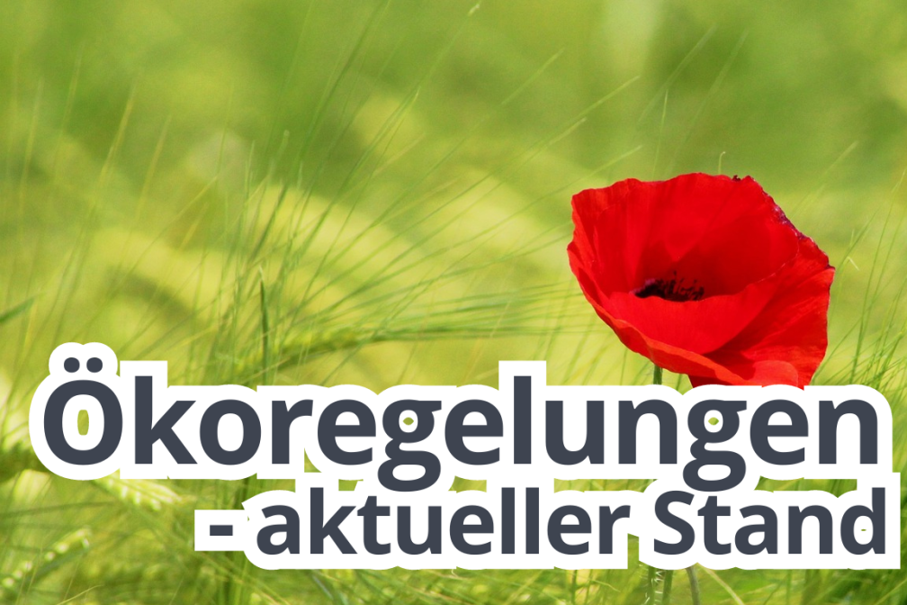 Teaser Ökoregelungen Mohn Gerste 5 2