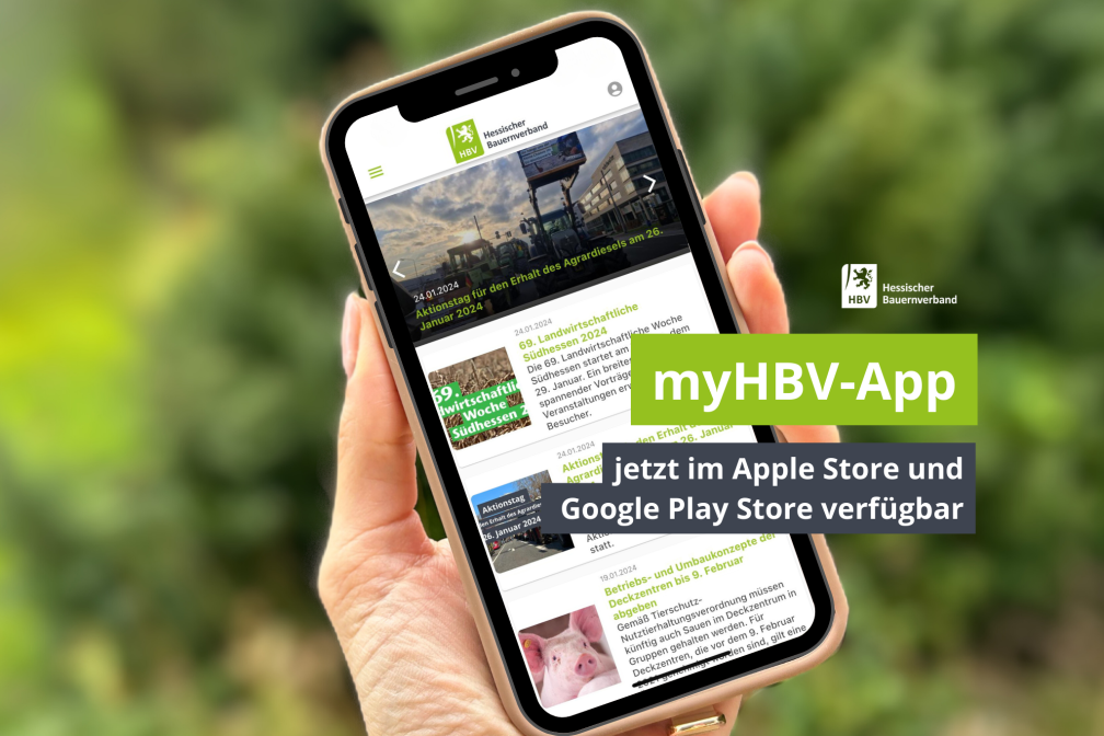 HBV