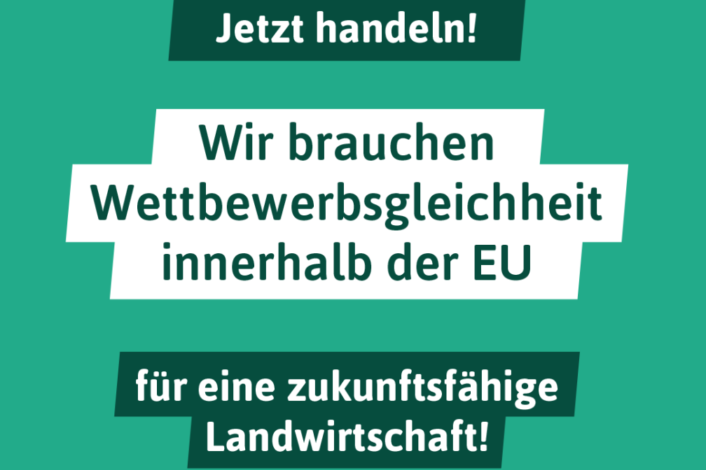 DBV Wettbewerbsgleichheit