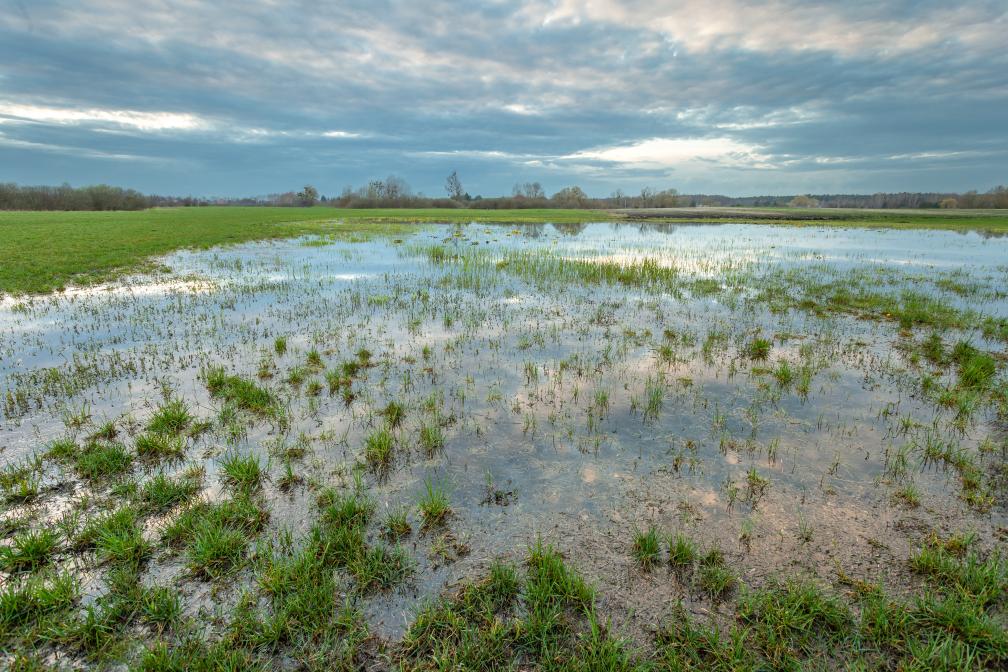 Hochwasser