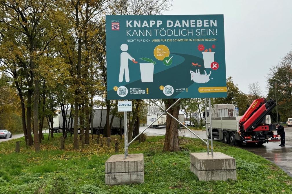 Plakat ASP 