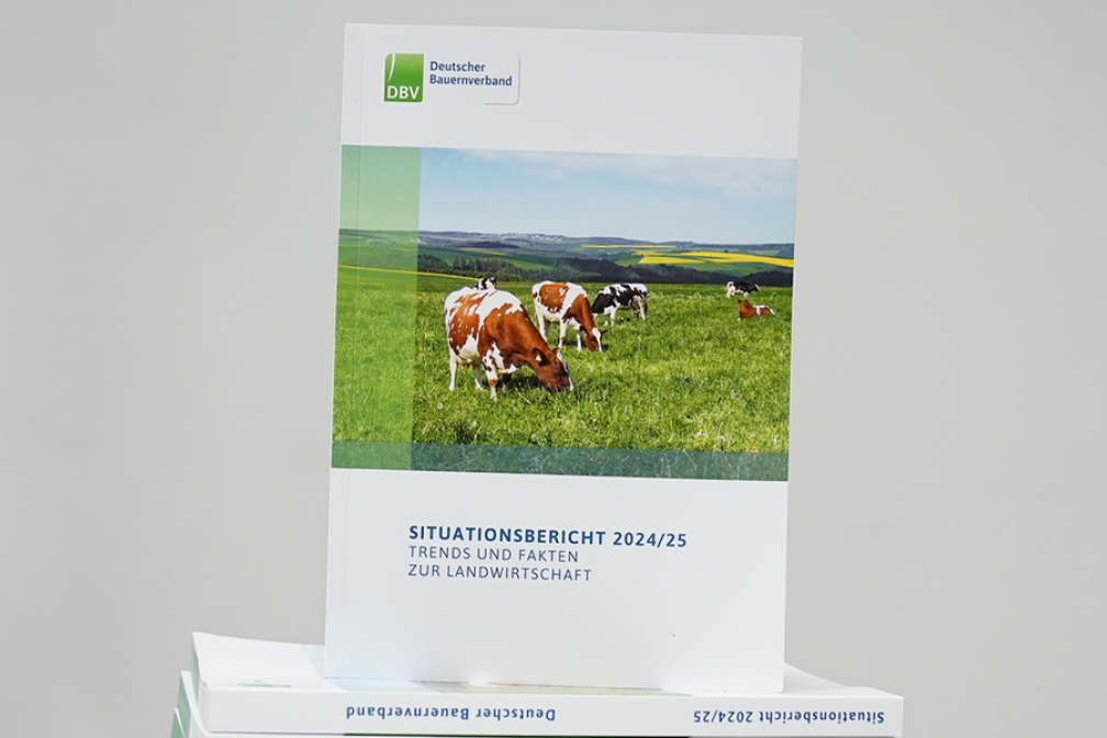 DBV Situationsbericht 2024/25