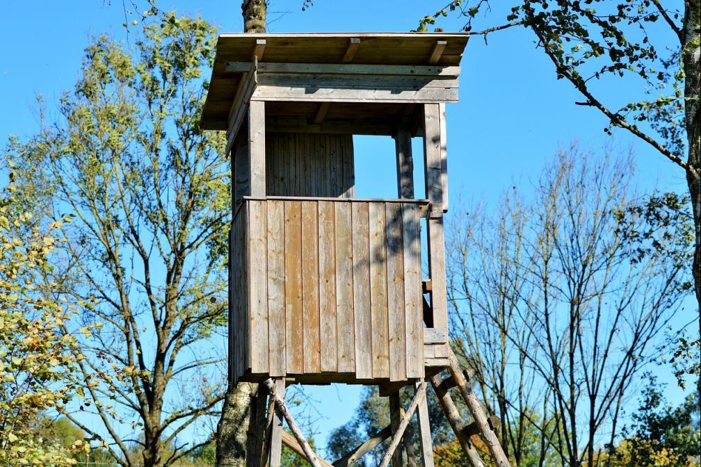Hochsitz Jagd