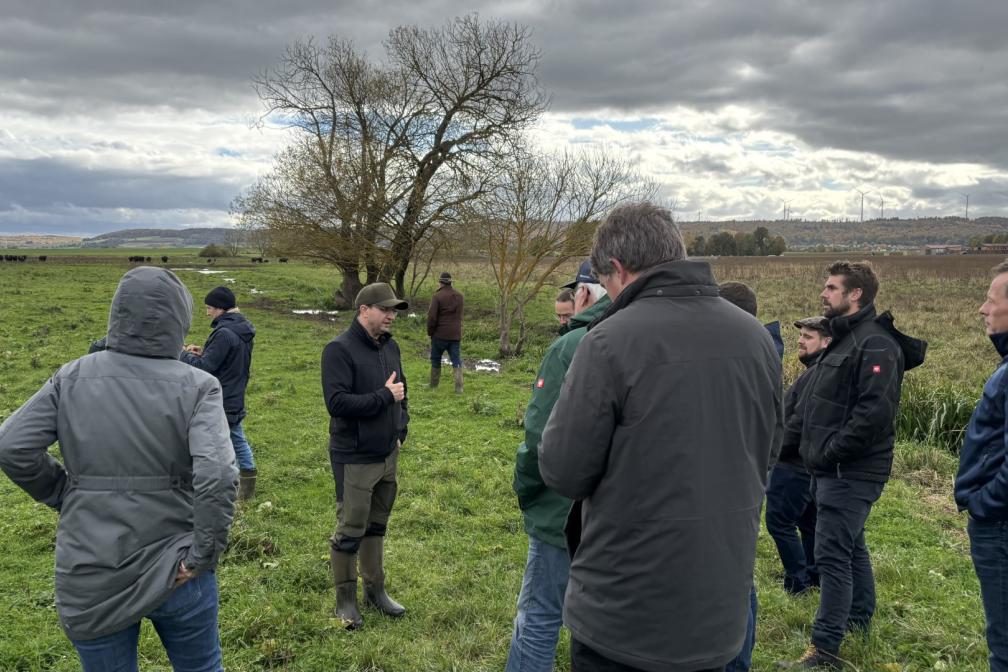 Gemeinsame Sitzung FA Betriebsmanagement & FA Biodiversität