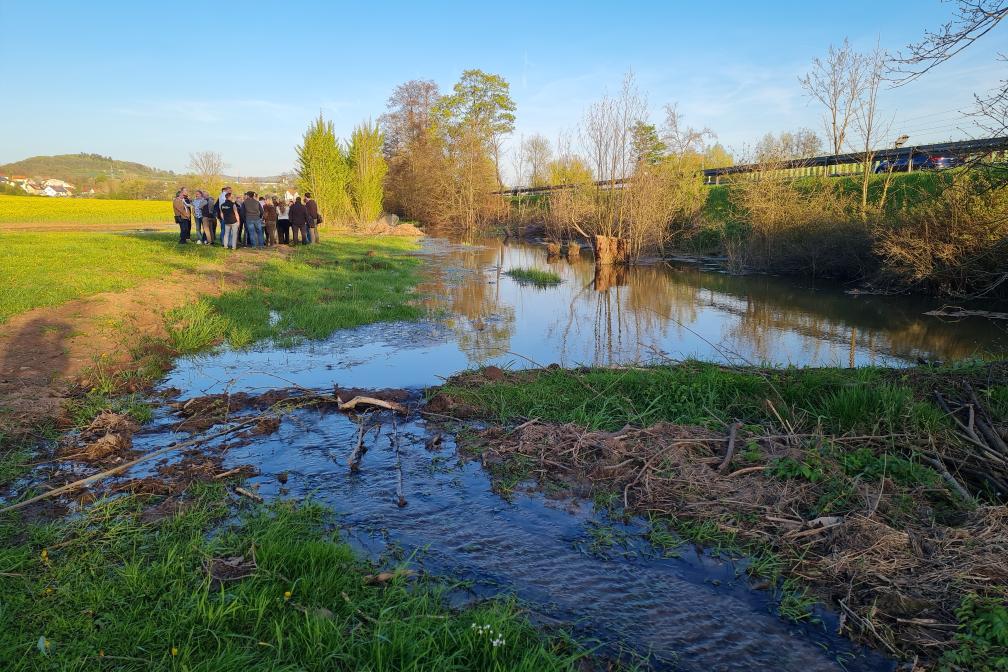 Vernässte Fläche durch Biber
