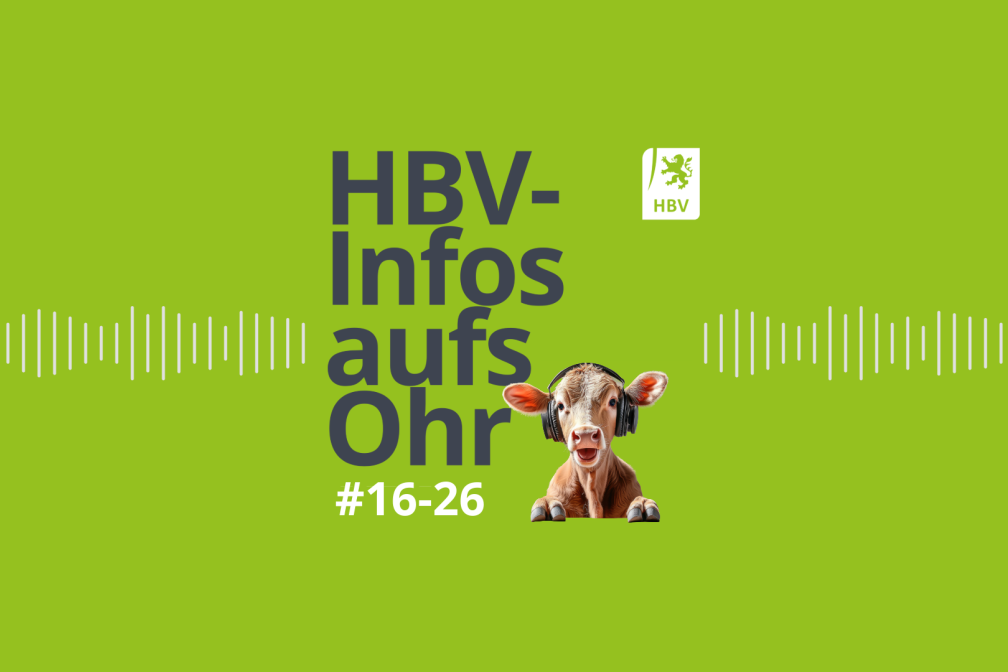 HBV-Infos aufs Ohr #16-26