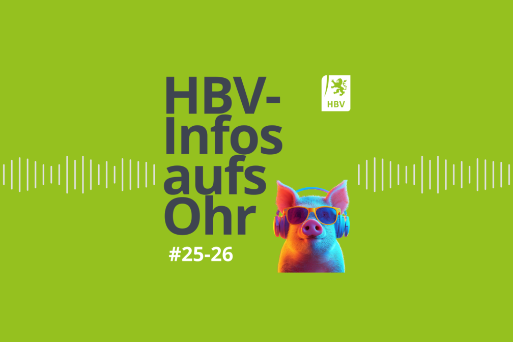 #25-26 Podcast 