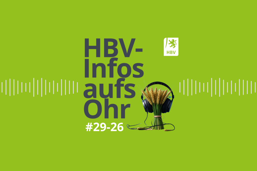 HBV-Infos aufs Ohr #29-26