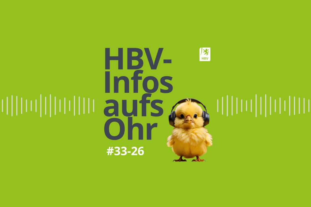 Podcast Bild #33-26