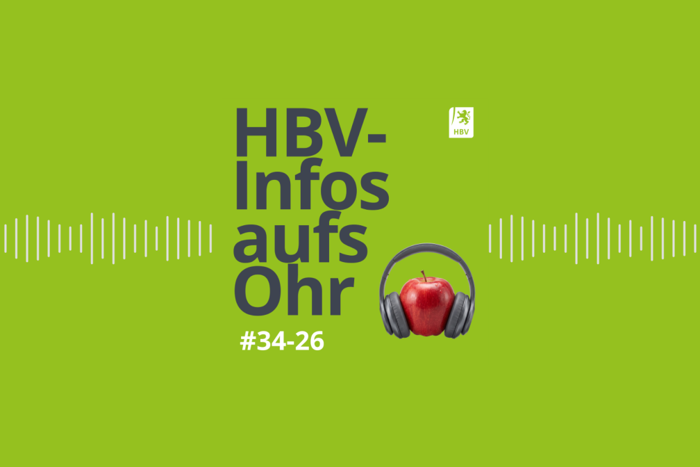 Podcast Bild #34-26