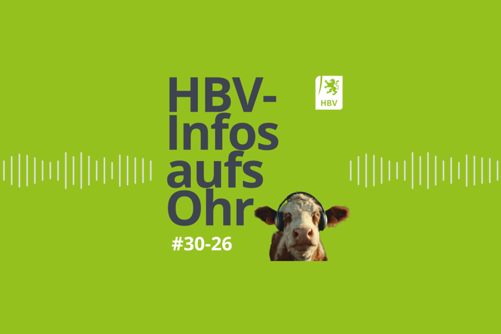 HBV-Infos aufs Ohr #30-26 Podcast