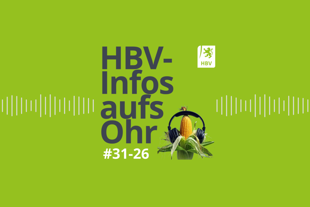 HBV-Infos aufs Ohr #31-26