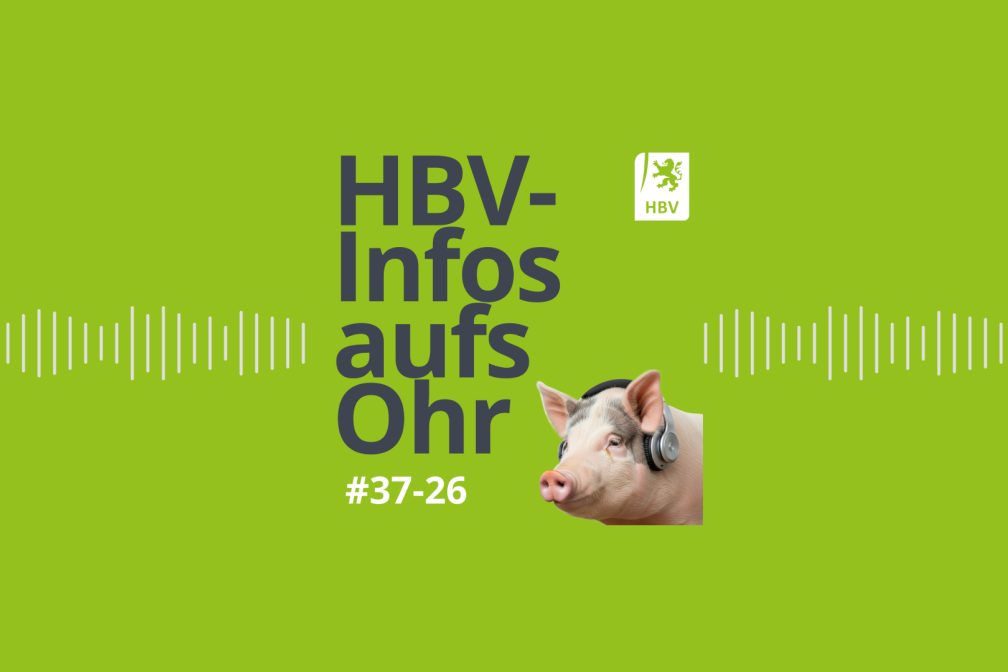 HBV Infos aufs Ohr Folge 37-26