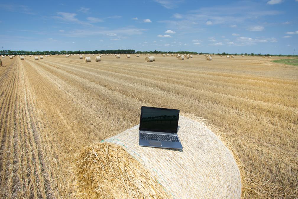 Notebook auf Strohballen