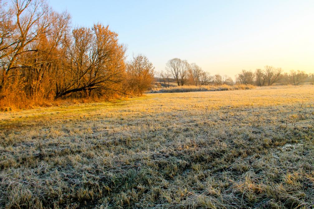 Landschaft Feld Wiese Grünland