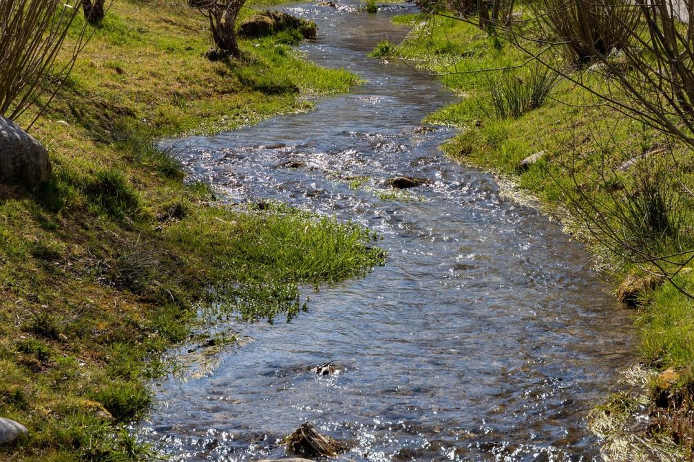Bachlauf im Sommer
