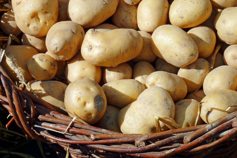 Themenabend "Kartoffel"