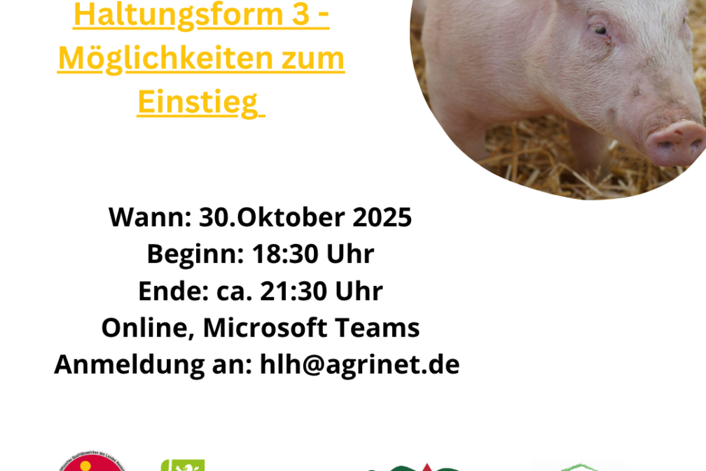 Online-Veranstaltung Mastschwein Haltungsform 3
