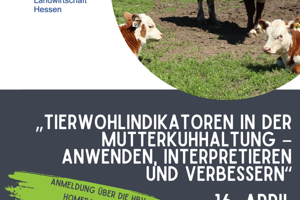 Fit for farming - „Tierwohlindikatoren in der Mutterkuhhaltung – anwenden, interpretieren und verbessern"