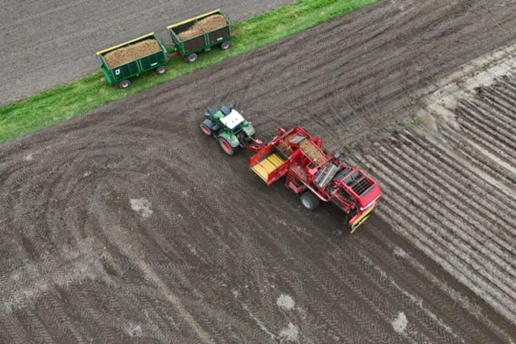 Kartoffelroder im Einsatz