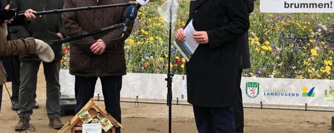 Positionspapier Insektenschutz Bouffier