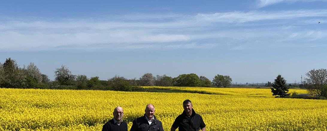 Ernst-Winfried Döhne, Karsten Schmal, Jürgen Pauly im Rapsfeld