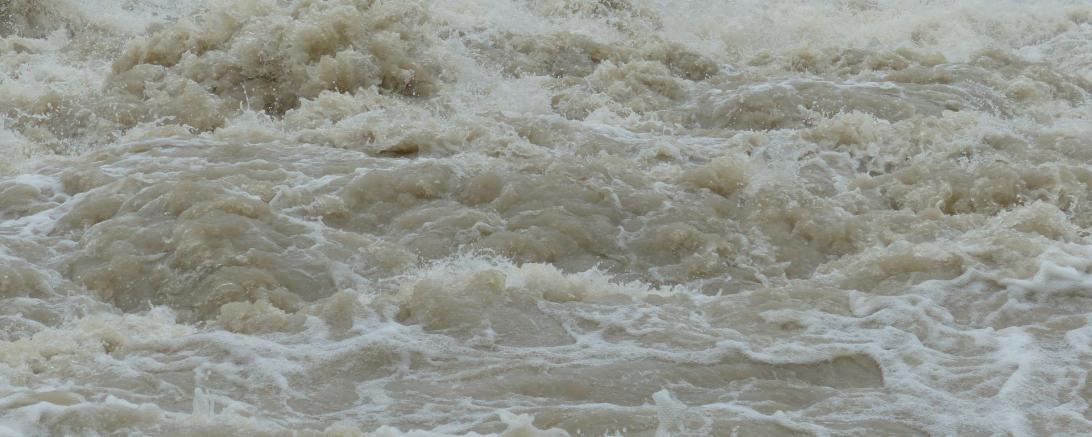 Flut