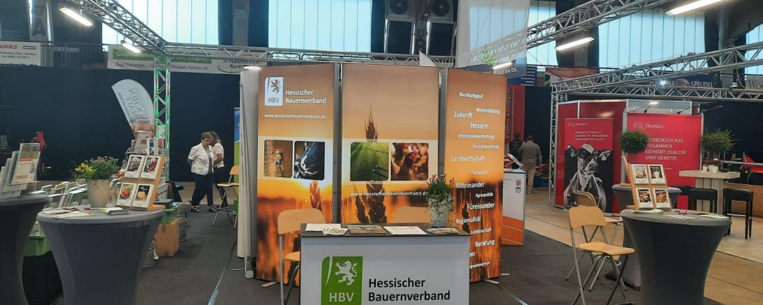 HBV Stand HeLa 2022