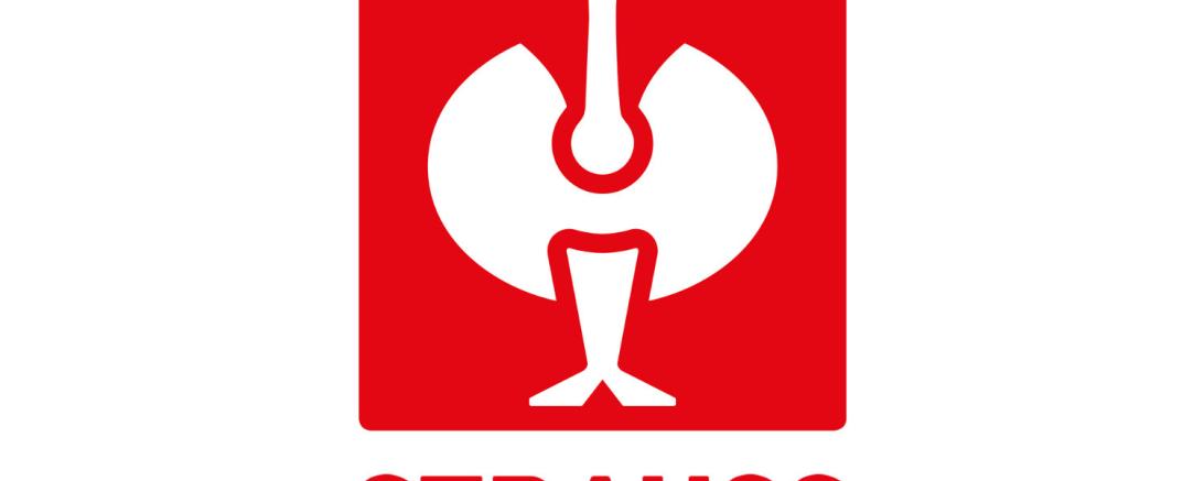 Logo Engelbert Strauss