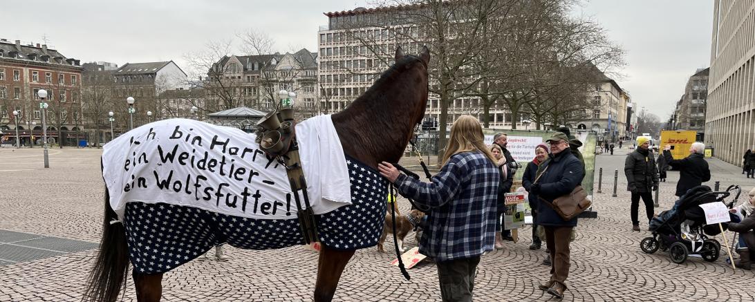 Mahnwache Wolf 2023