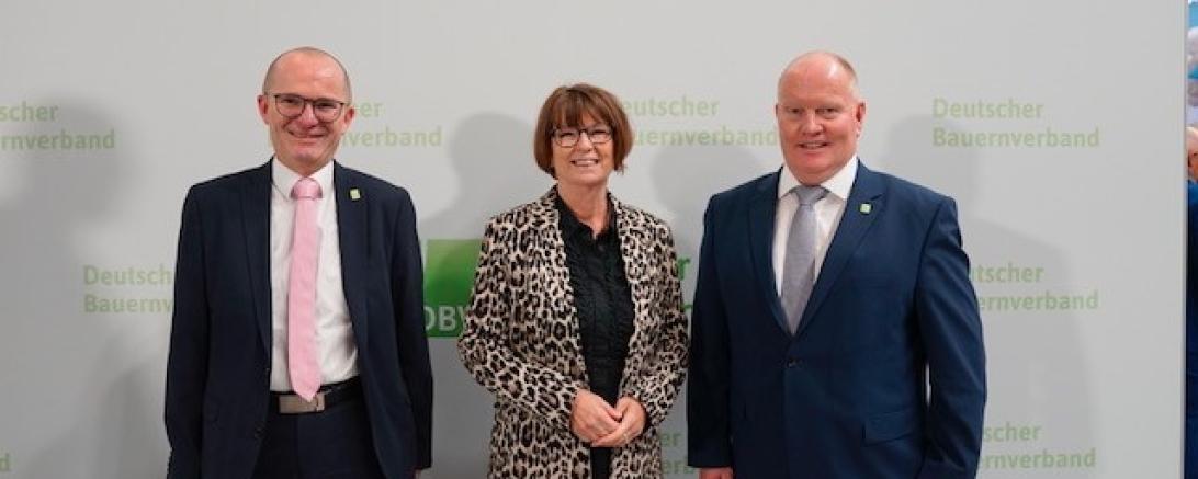 Schmal, Paulus, Hinz IGW 2023