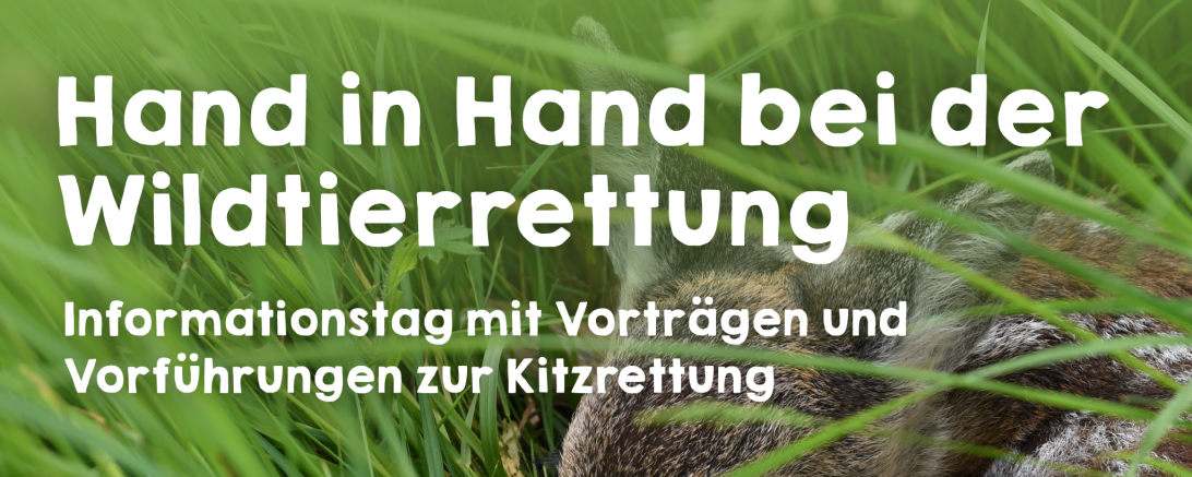 Wildtierrettung Seminar