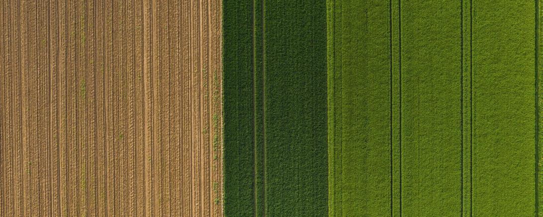Luftbild landwirtschaftlicher Kulturen im Frühjahr