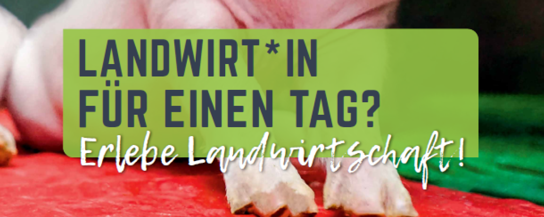 Du und ich bei Hessens Bauern