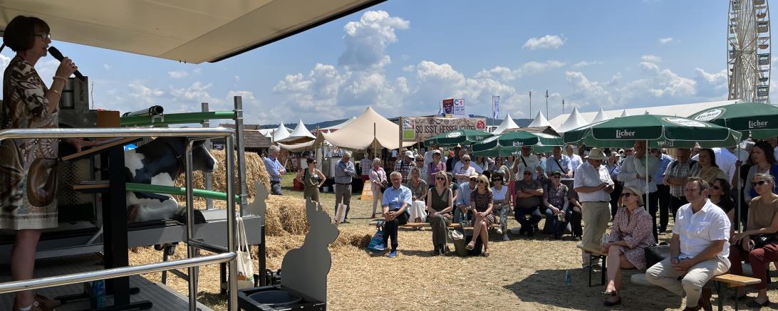 HBV-Empfang Hessentag 2023