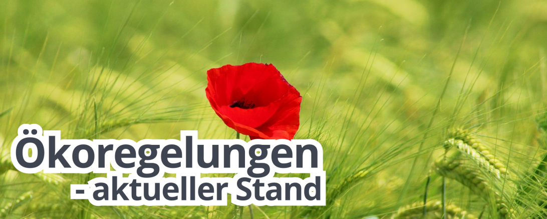Teaser Ökoregelungen Mohn Gerste 5 2
