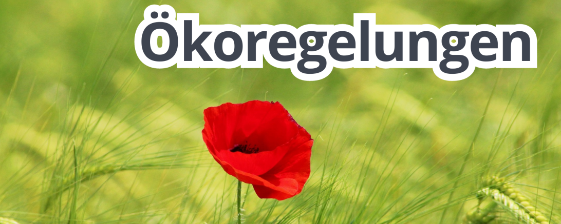 Ökoregelungen Teaser Mohn Gerste