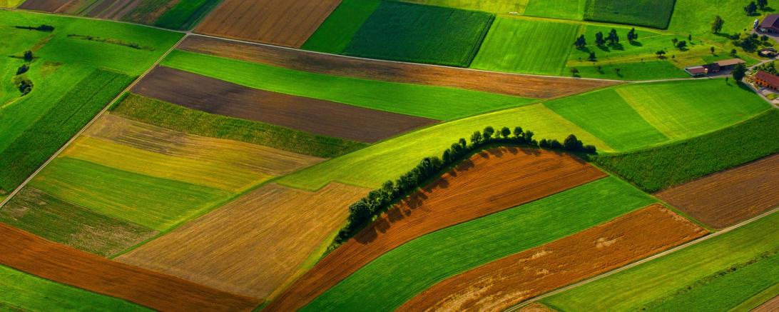 Ackerlandschaft