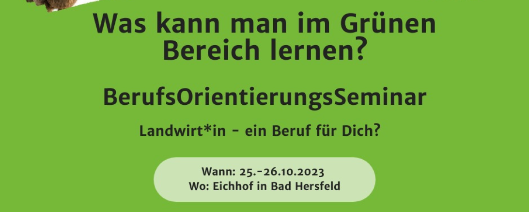 BerufsOrientierungsSeminar