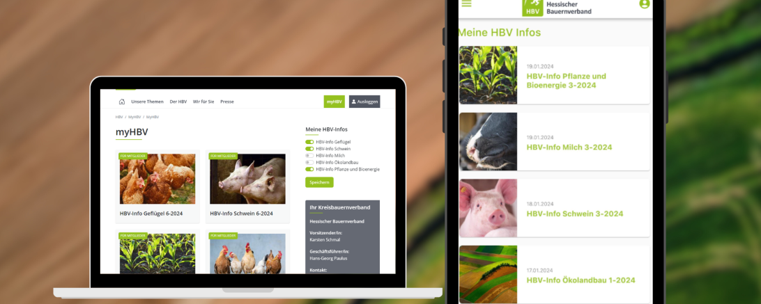 HBV-Infos 