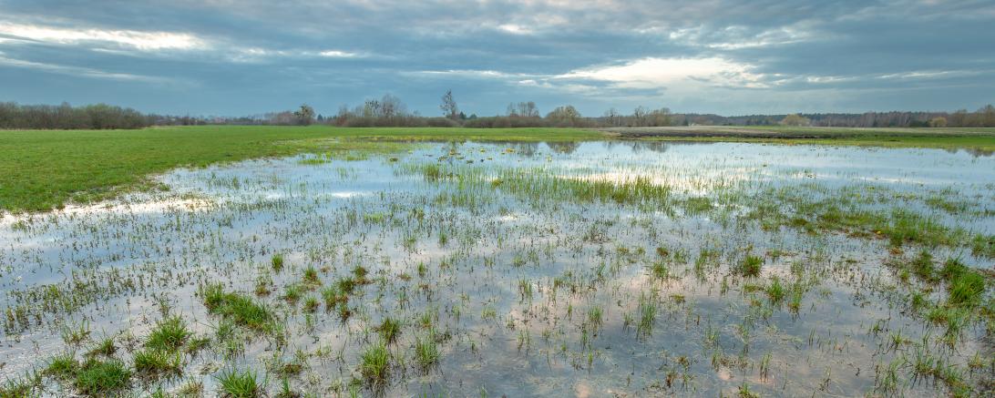 Hochwasser