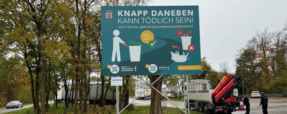 Plakat ASP 