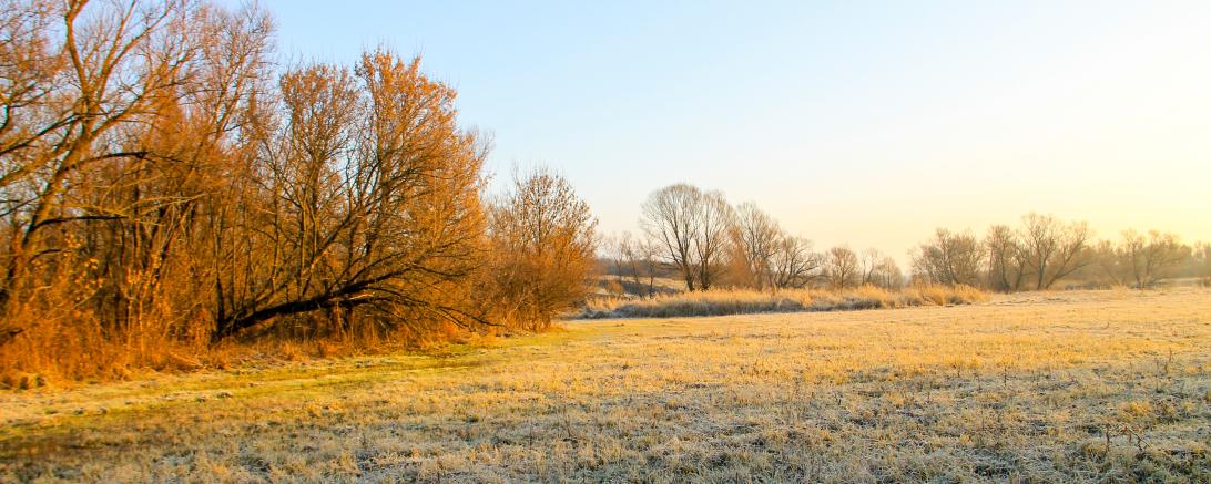 Landschaft Feld Wiese Grünland