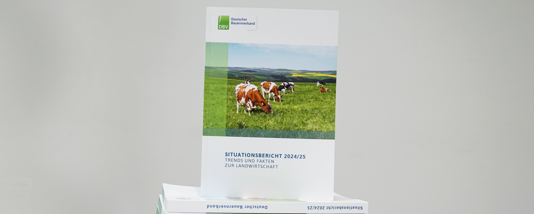 DBV Situationsbericht 2024/25