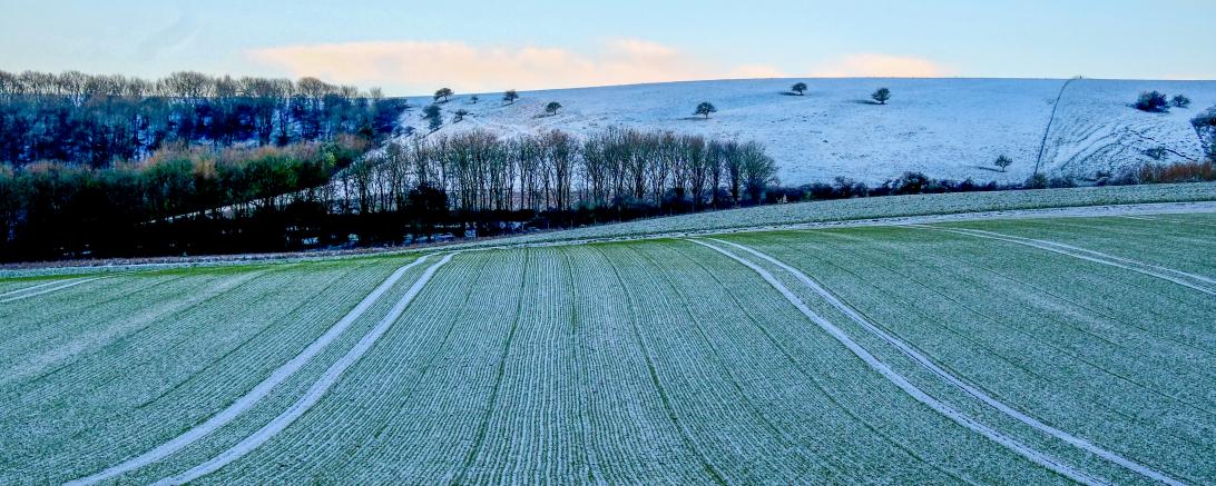 Winterlandschaft Feld